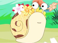 蜘蛛姐姐盖花房