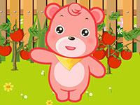 菜园里的西红柿