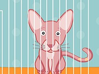 无毛猫—斯芬克斯