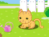 稀有猫咪—美国卷耳猫