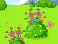 杜鹃花