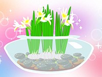 舶来名花——水仙