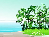 生长最快的植物——竹子