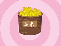 饲料之王——玉米