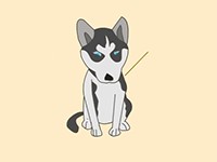 西伯利亚雪橇犬
