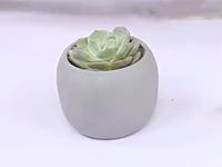 手工DIY制作多肉
