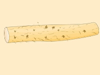 山药