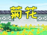 菊花